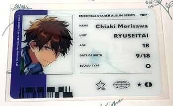 61nGimYphgL._AC_UF350,