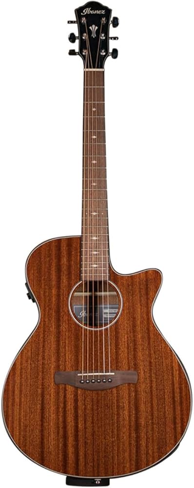 Amazon | Ibanez アイバニーズ 抱えやすいジャストサイズのエレアコ