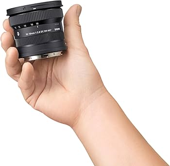 Amazon.com : Sigma 10-18mm F2.8 DC DN for L Mount : Electronics