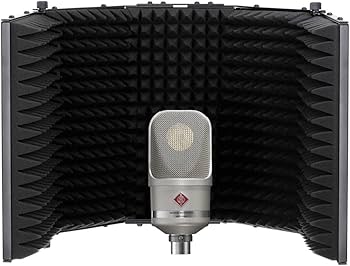 Amazon.co.jp: Neumann TLM 107 スタジオセット ラージダイアフラム