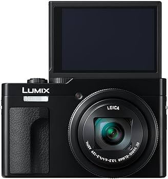 Amazon.com : Panasonic LUMIX ZS99 Point and Shoot Camera, Compact