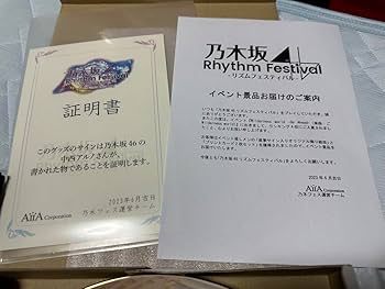 Amazon.co.jp: 乃木坂46 中西アルノ 直筆サイン入り 飾り絵皿 入賞品