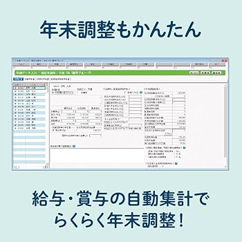 Amazon.co.jp: 給料王24 最新法令改正対応版 : PCソフト