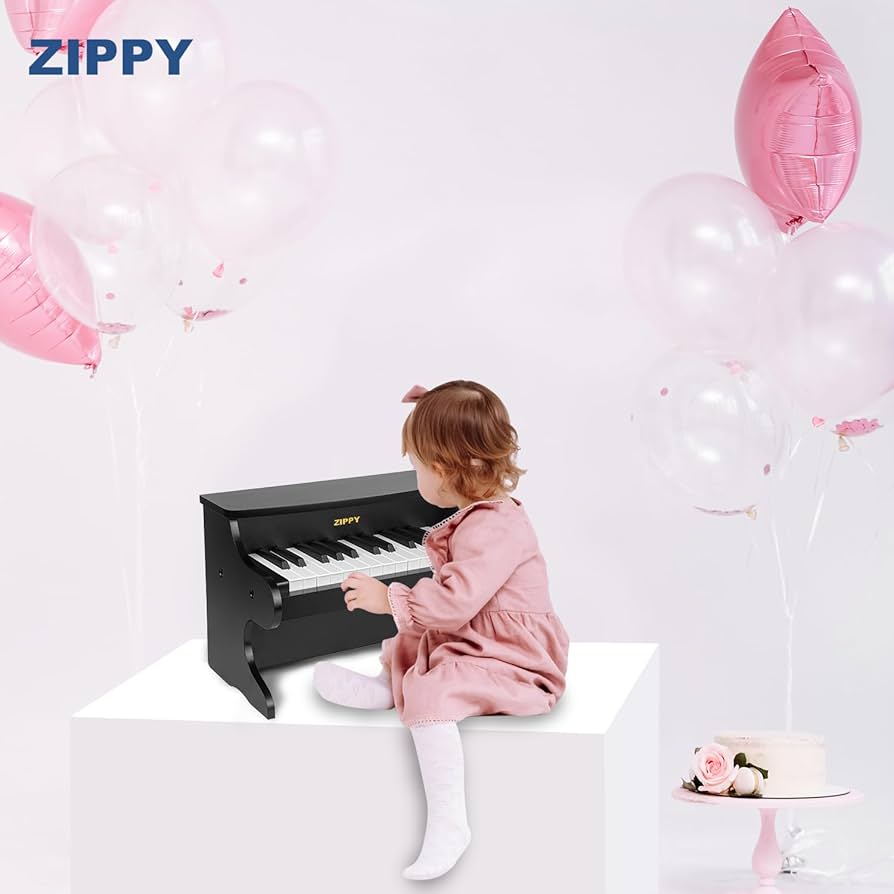 Amazon.com: ZIPPY Kids Piano Keyboard, 25 Keys Digital Piano for