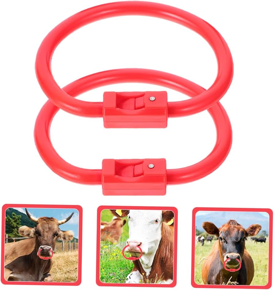 Amazon.co.jp: JEWEDECO 2個 ブルノーズリング 家畜牛の鼻輪 サークル