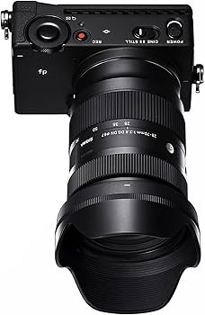 Amazon.com : Sigma 28-70mm F2.8 DG DN for Sony E Black : Electronics