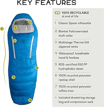 Amazon.co.jp: NEMO(ニーモ） ディスコ Endless Promise 30 NM-DSCEP