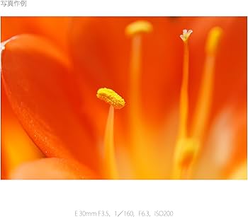 Amazon.co.jp: SONY 単焦点レンズ E 30mm F3.5 Macro ソニー Eマウント
