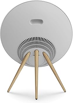 Amazon.com: Bang & Olufsen Beosound A9 (5th Generation) - Iconic