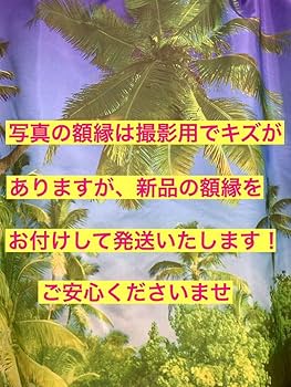 Amazon.co.jp: 額装品川越美和①ベストアルバムMIWAのプロモーション