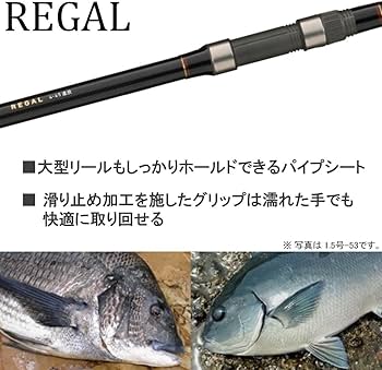 Amazon | ダイワ(DAIWA) 波止釣り・海上釣堀・磯竿 リーガル 遠投 3-45