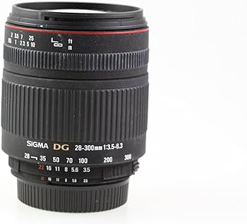 Amazon.co.jp: シグマ 28-300mm F3.5-6.3 DG MACRO ニコン用 : 家電
