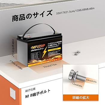 Amazon.co.jp: MFUZOP 12V 100Ah LiFePO4 リン酸鉄リチウムイオン