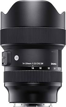 Amazon.co.jp: シグマ(Sigma) レンズ 14-24mm F2.8 DG DN Sony ソニー