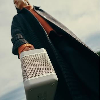 Amazon.com: Bang & Olufsen Beolit 20 Powerful Portable Wireless
