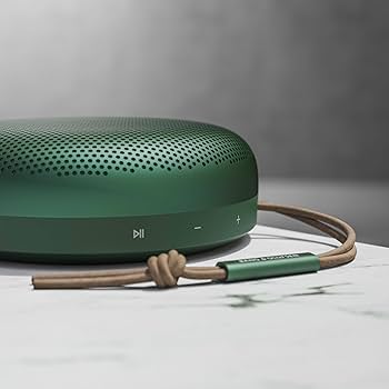 Amazon.com: Bang & Olufsen Beosound A1 (2nd Generation) Wireless