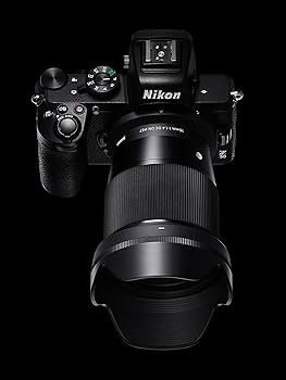 Amazon.com : 16mm F1.4 DC DN Z Nikon Mount : Electronics