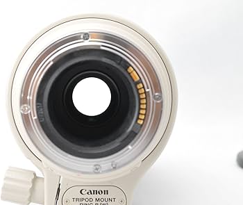 Amazon.co.jp: Canon 望遠ズームレンズ EF100-400mm F4.5-5.6L IS USM