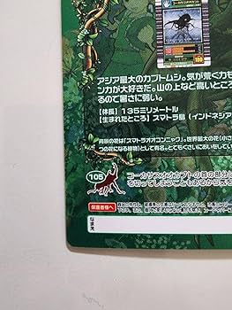 Amazon.co.jp: ムシキング 5周年コレクションカード第2弾 コーカサス