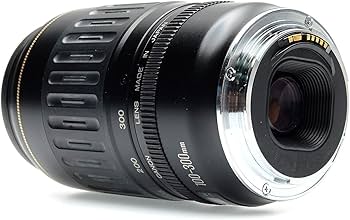 Amazon.com : Canon EF 100-300mm f/4.5-5.6 USM Telephoto Zoom Lens