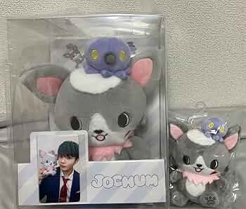 71TZ4mYHsML._AC_UF350,