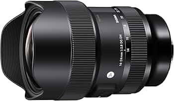 Amazon.com : Sigma 14-24mm F2.8 DG DN Art Lens for Leica L