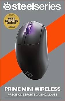 Amazon.com: SteelSeries Esports Mini Wireless FPS Gaming Mouse