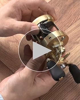 Amazon.co.jp: Shimano Bait Reel 23 Calcutta Conquest MD 300XG