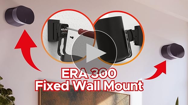 Amazon.com: Sound Bass ERA300 Wall Mount Bracket, Low Profile