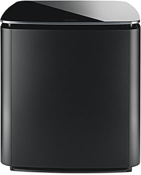 Amazon.com: Bose Acoustimass 300 Wireless Bass Module, Black