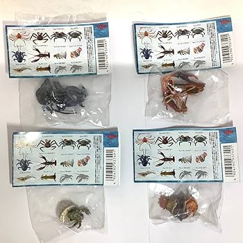 Amazon.co.jp: YUJIN 原色図鑑シリーズ16 原色甲殻類エビ・カニ図鑑Ⅰ