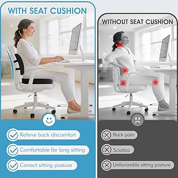 CushZone Seat Cushion, Lumbar Support Pillow with Adjustable Strap