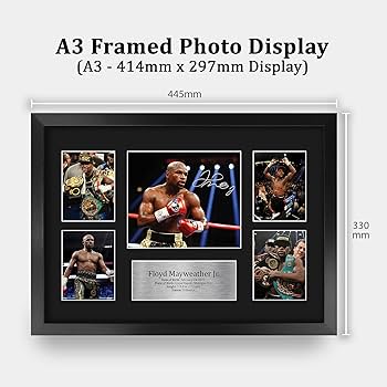 Amazon.co.jp: HWC Trading フロイド メイウェザー Jr ボクシング 16 x