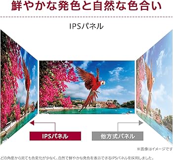 Amazon.co.jp: LG モニター ディスプレイ 29WQ600-W 29インチ/ 平面