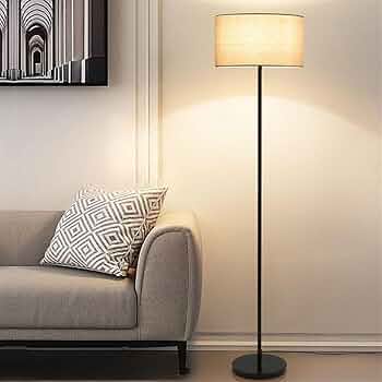 71m2fXWJ3oL._AC_UF350,