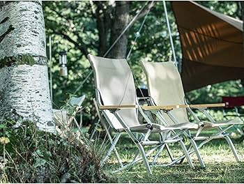 Amazon.co.jp: スノーピーク(snow peak)ローチェア30カーキ2個