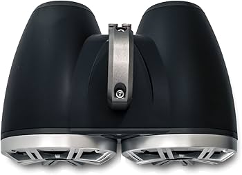 Amazon.co.jp: KICKER ブラック デュアルウェイクタワーシステム