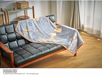 71qtdaPa0dL._AC_UF350,