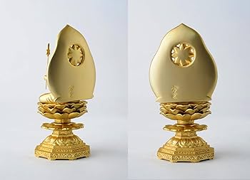 71sJCiZ+bPL._AC_UF350,