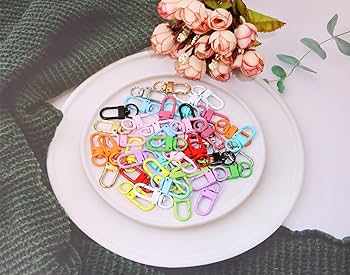 Amazon.com: Tupalizy 45PCS Small Metal Lobster Claw Clasps Lanyard