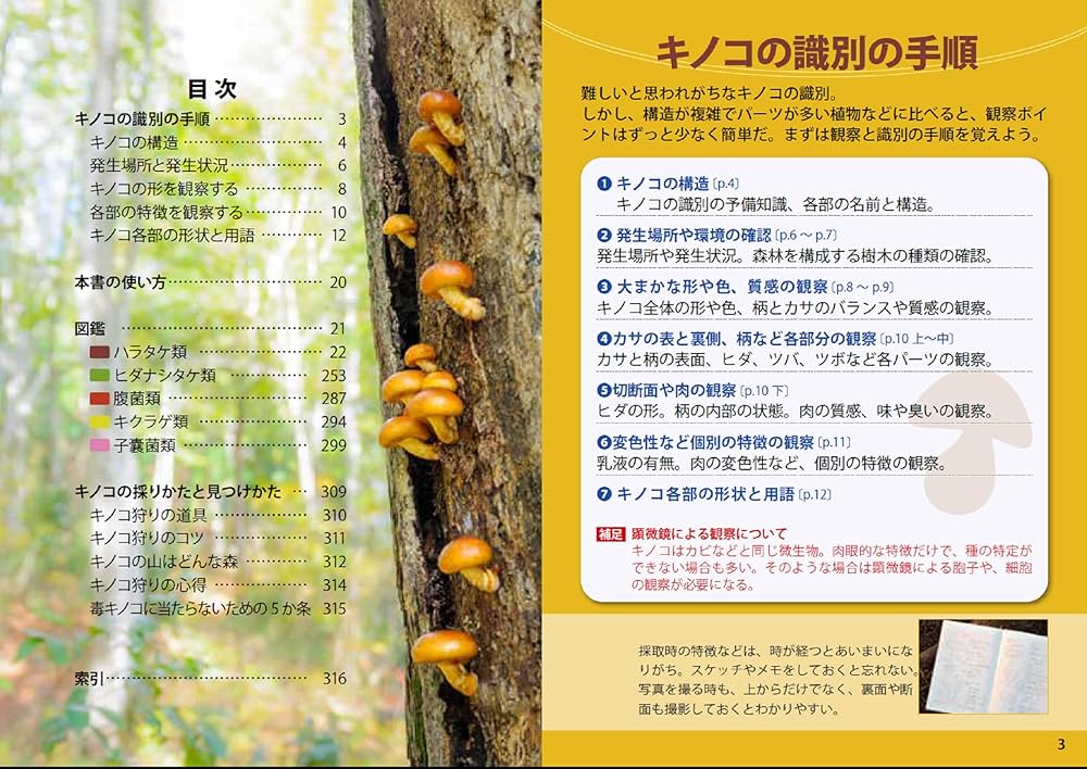 新訂 日本のキノコ275 (ポケット図鑑) | 柳沢 まきよし |本 | 通販