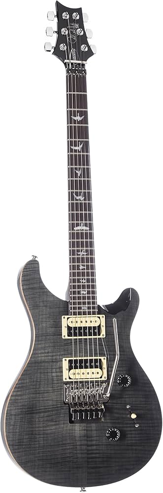 Amazon.com: PRS Paul Reed Smith SE Custom 24 Floyd Rose Electric