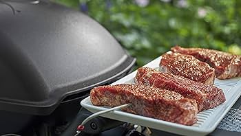 Amazon.com : Weber Connect Smart Grilling Hub, Black : Patio, Lawn