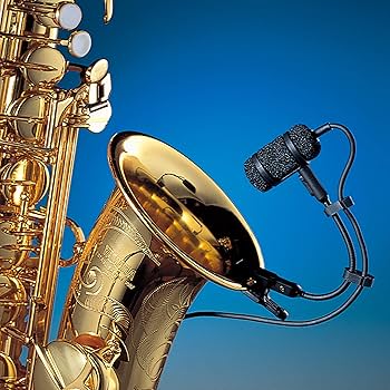 Amazon.co.jp: オーディオテクニカ PRO35 コンデンサーマイク XLR 金