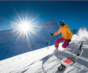 Amazon | 22DESIGNS(22デザイン) アクセル 7900182 S | TwentyTwo