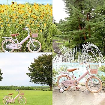 Amazon | GRAPHIS(グラフィス) 【組立動画あり】 子供用自転車 GR