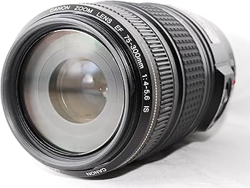 Amazon.co.jp: Canon EF 75-300mm F4-5.6 IS USM : 家電＆カメラ