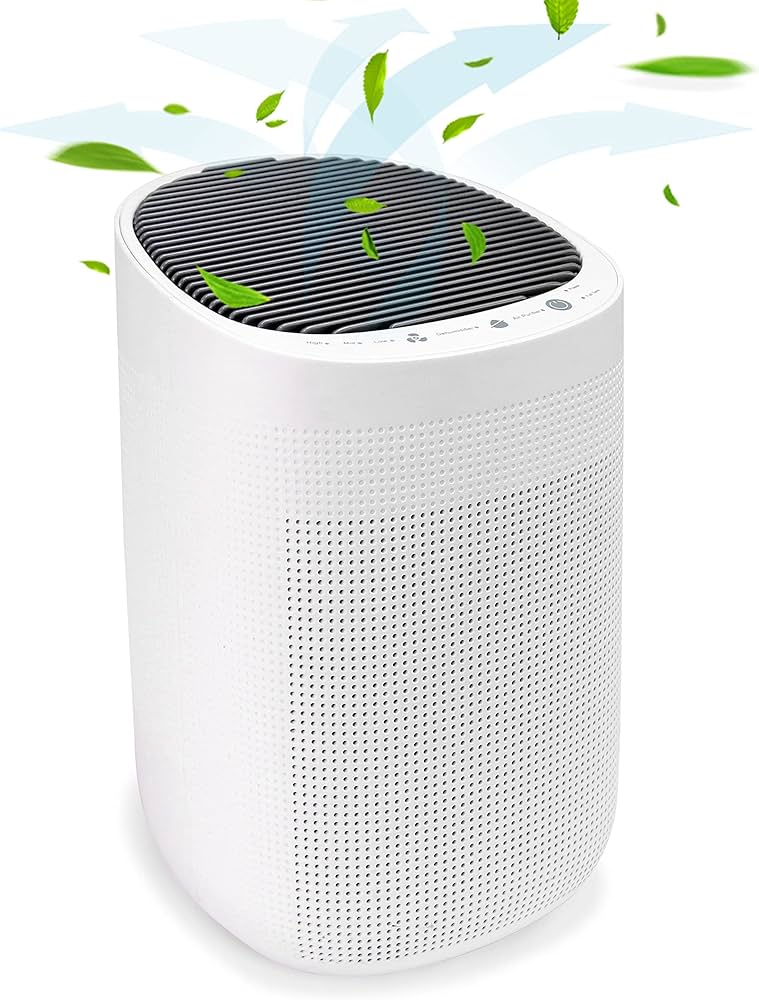 Amazon | 空気清浄機 除湿機 除湿空気清浄機 1台2役 結露防止 カビ防止