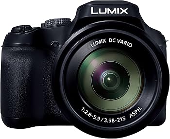 Amazon.com : Panasonic LUMIX FZ80D Point and Shoot Digital Camera