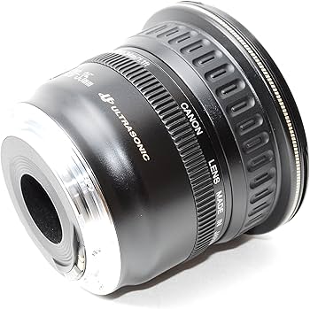 81Ex2FlyHqL._AC_UF350,